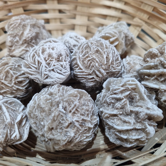 Desert Rose Medium Size