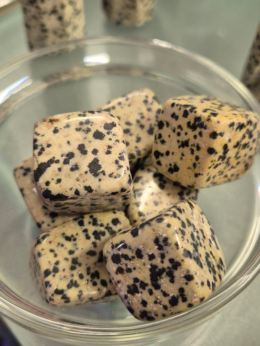 Dalmation Jasper Cubes