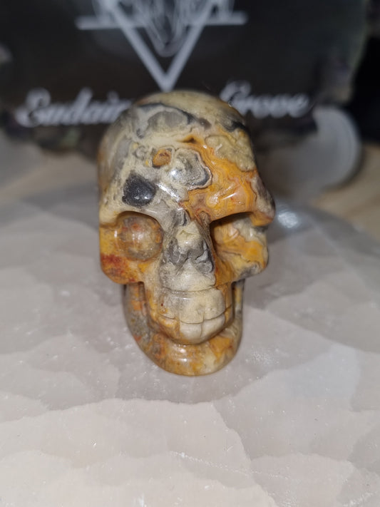 Crazy Lace Agate Skull Carving