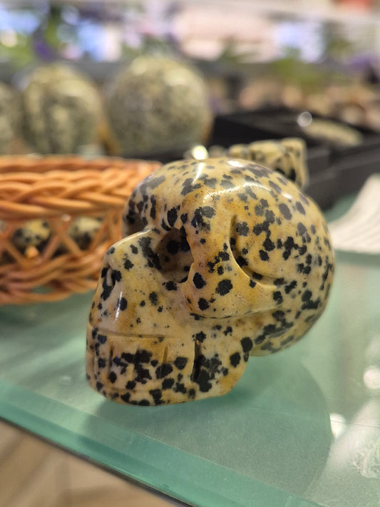 Dalmation Jasper Skull