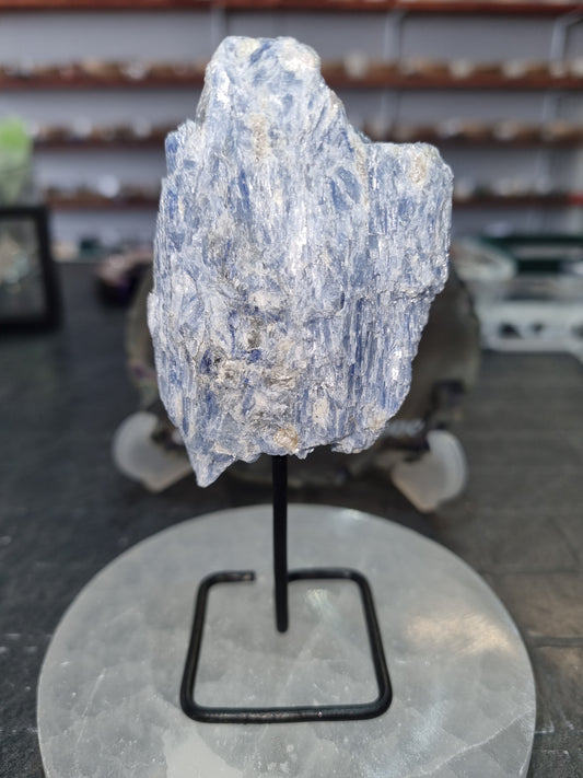 Blue Kyanite on Stand