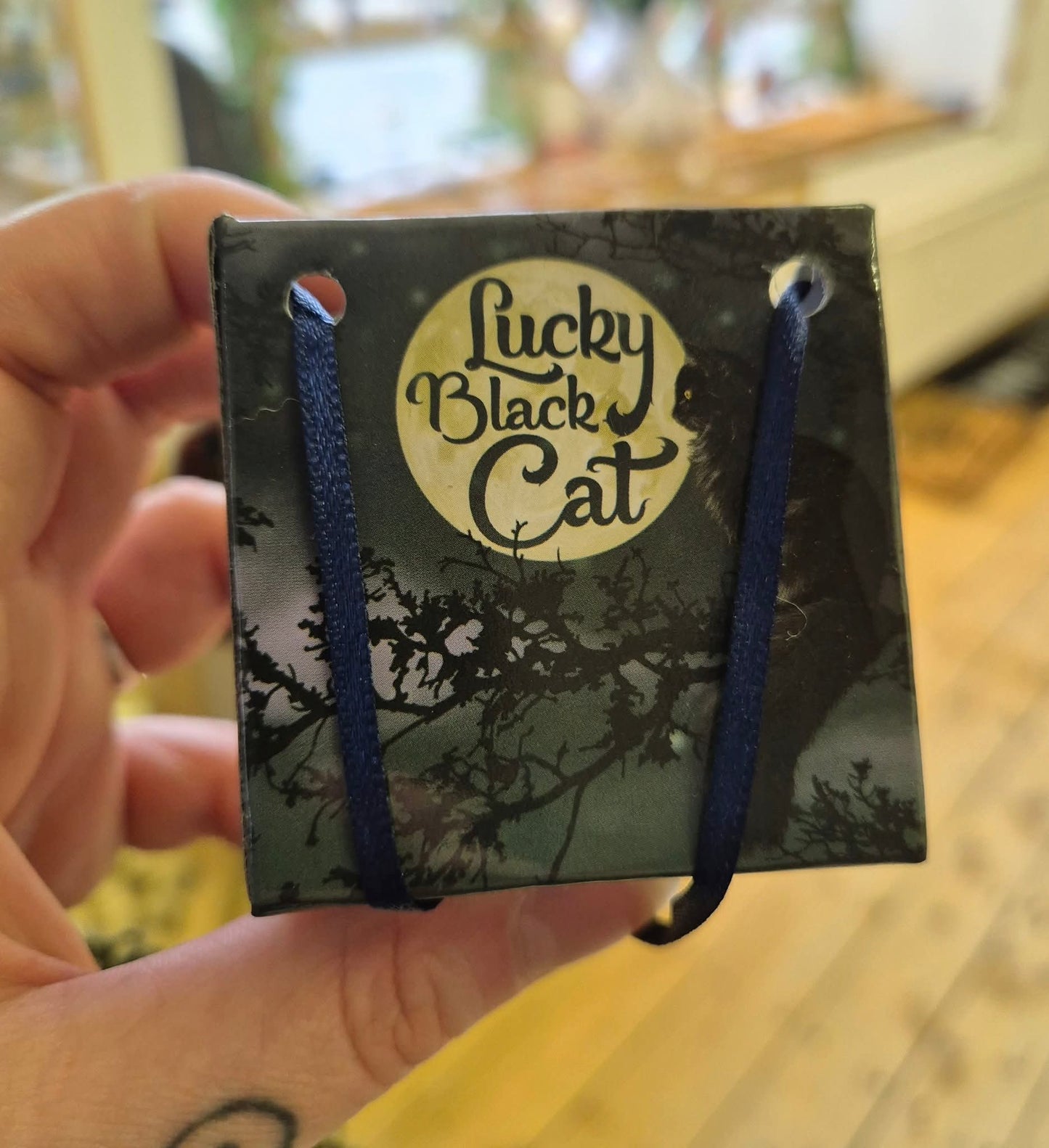 "Lucky black cat" and gift bag