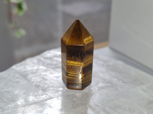 Tigers Eye Mini Point