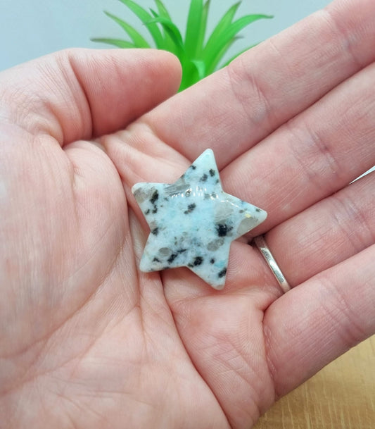 Kiwi Jasper Star Carving