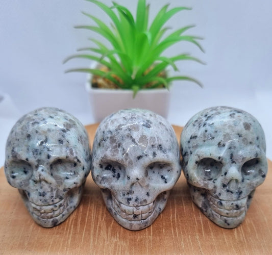 Kiwi Jasper Skull Carving