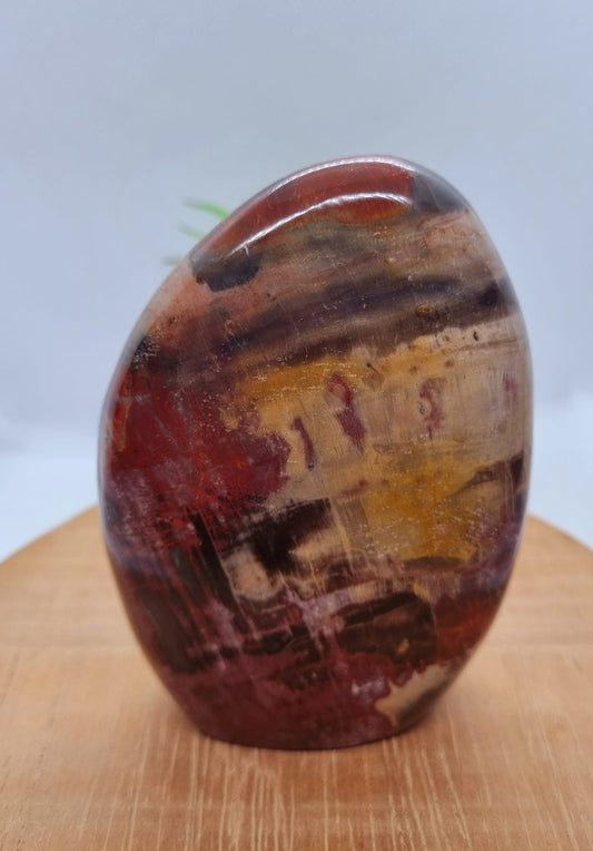 Petrified Wood Freeform