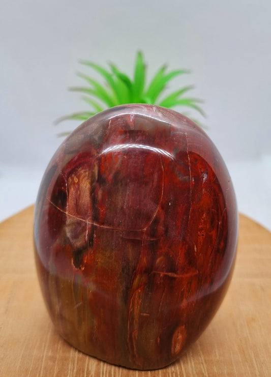 Petrified Wood Freeform