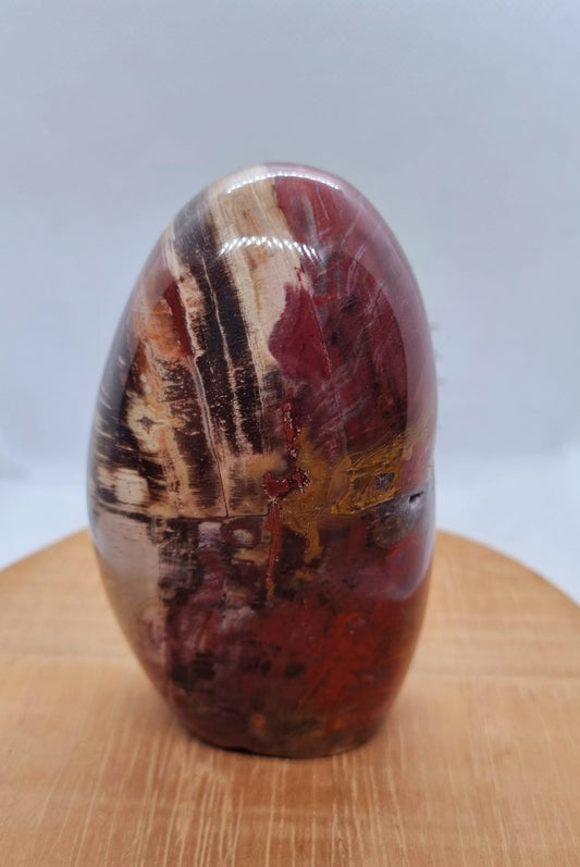 Petrified Wood Freeform