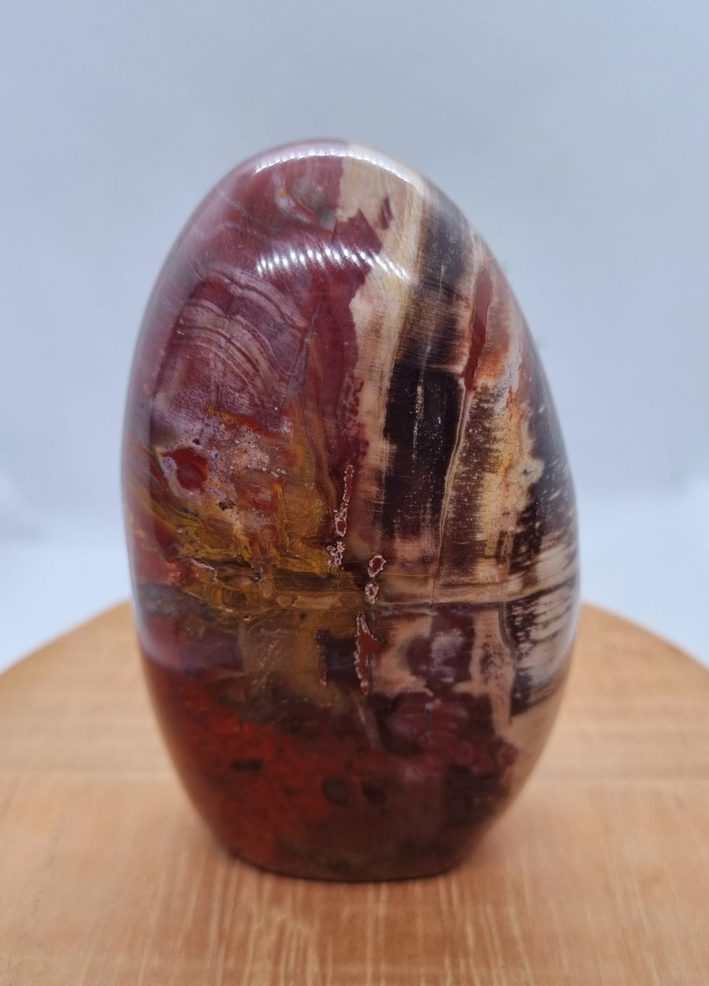 Petrified Wood Freeform