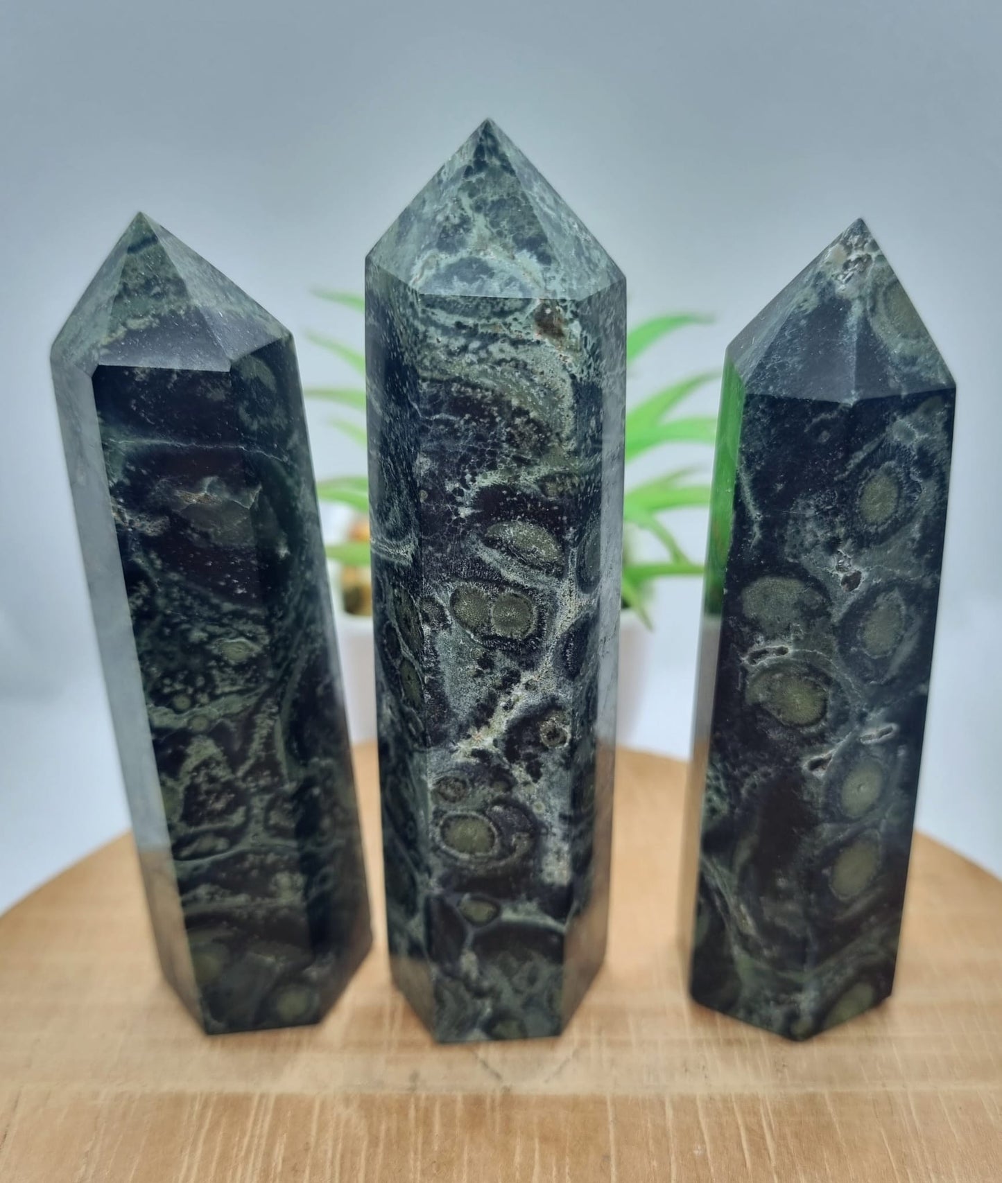 Kambaba Jasper Point