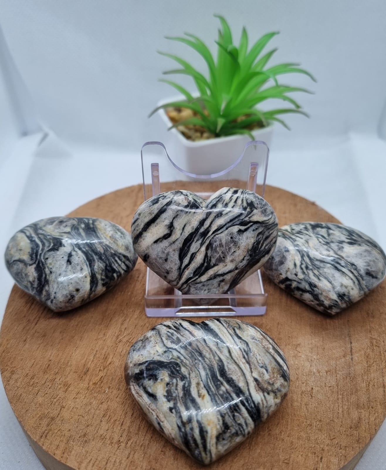 Zebra Jasper Hearts