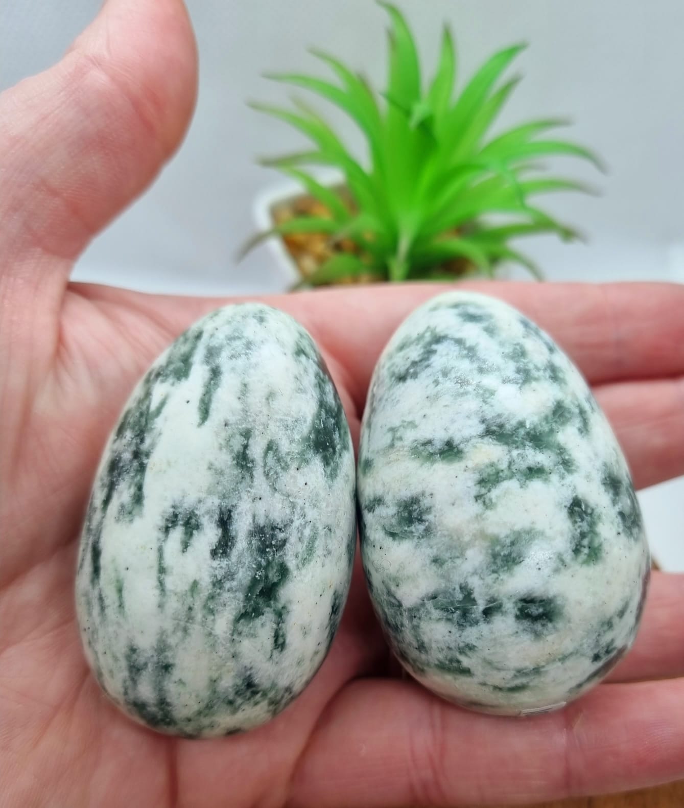 Tree Agate Egg