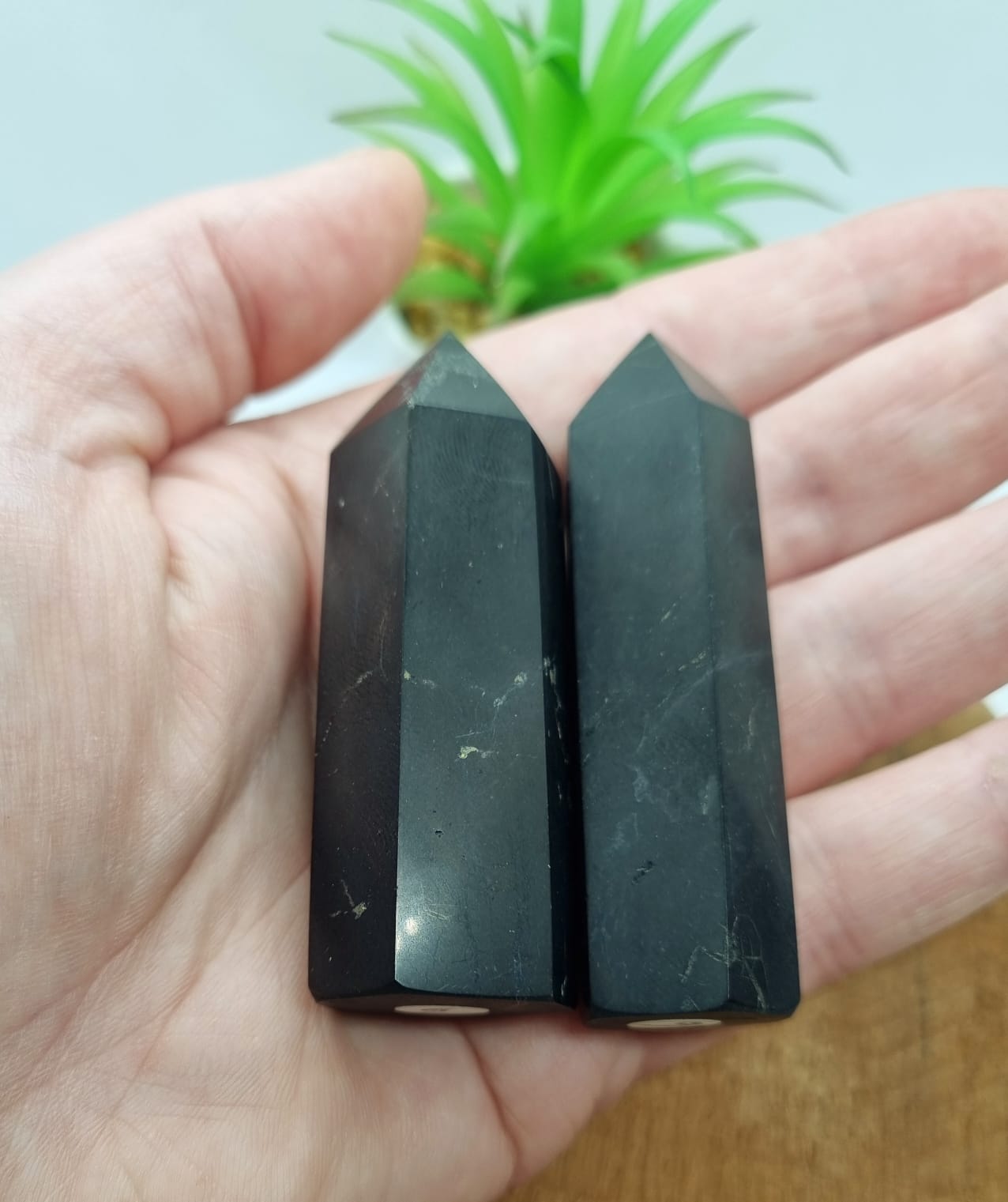 Shungite Point