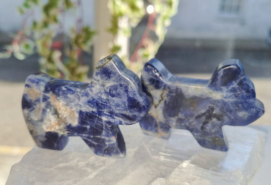 Sodalite Dog Carving
