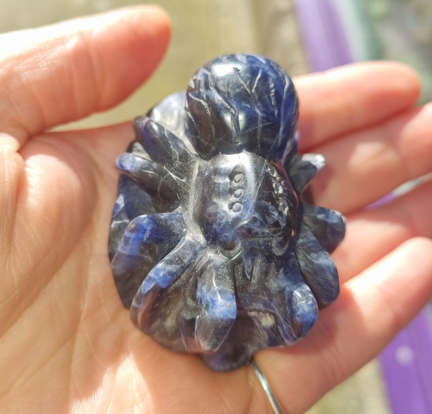 Sodalite Spider Carving