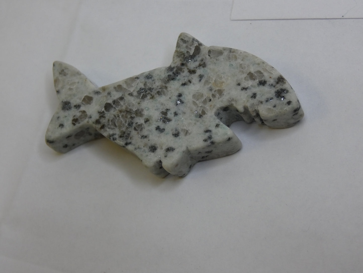 Kiwi Jasper Shark Carving