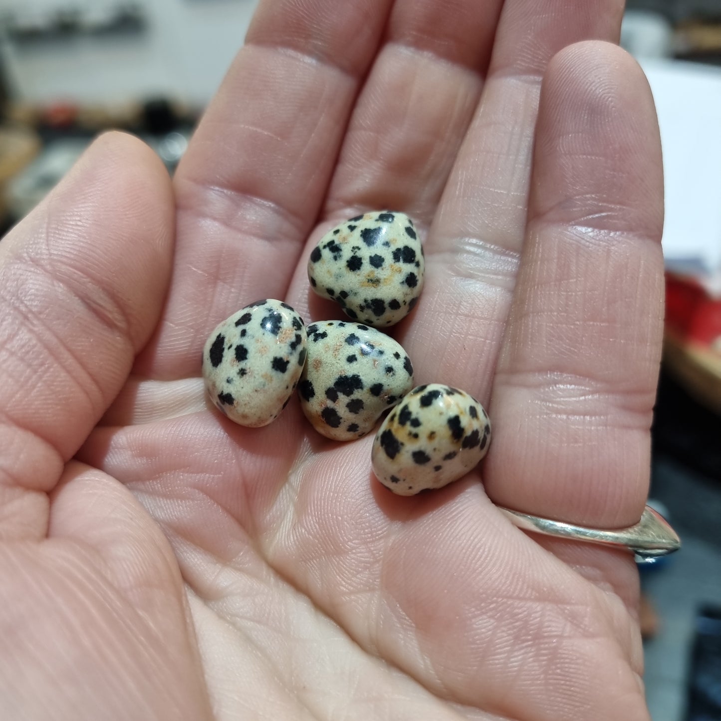 Dalmation Jasper Mini Hearts