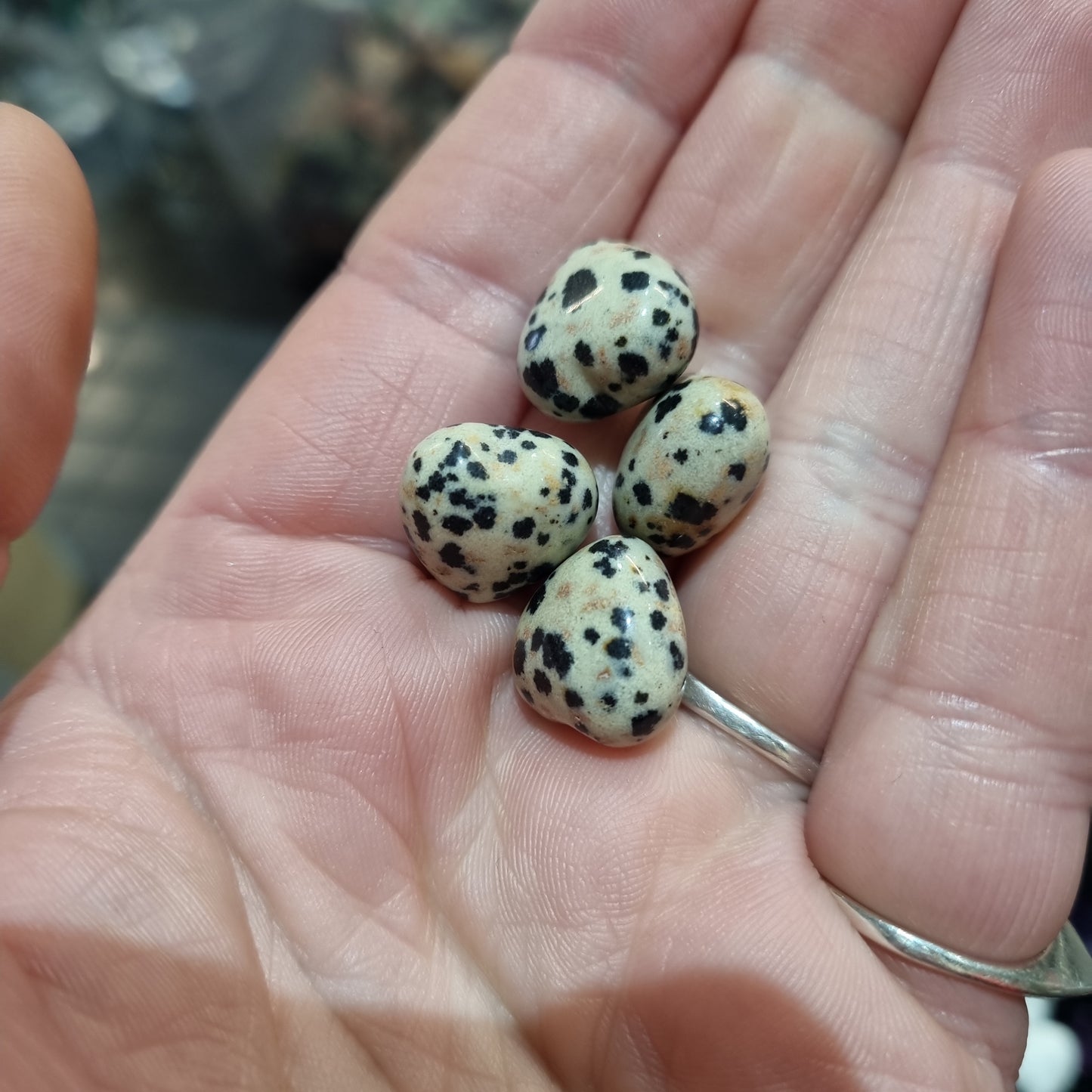Dalmation Jasper Mini Hearts