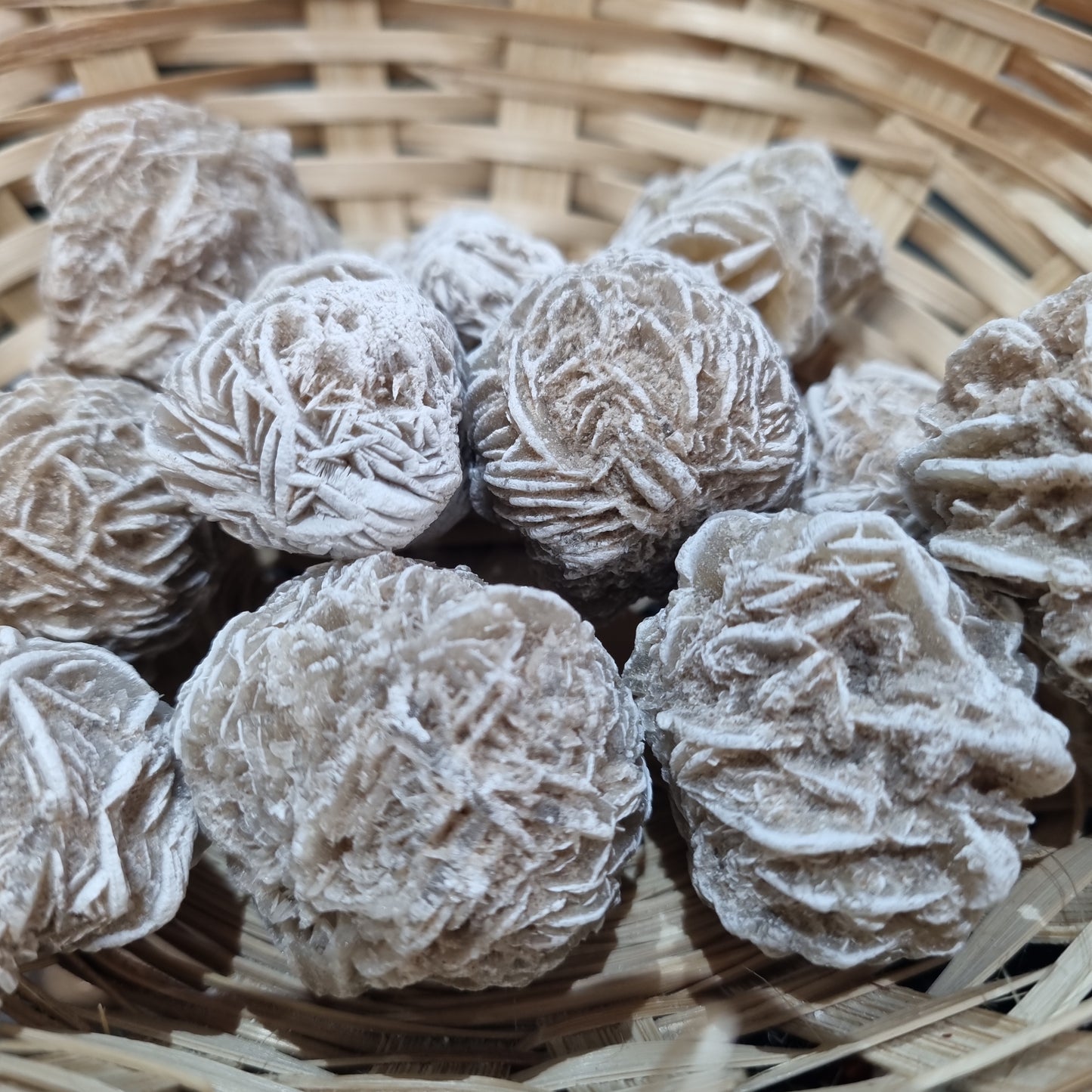 Desert Rose Medium Size
