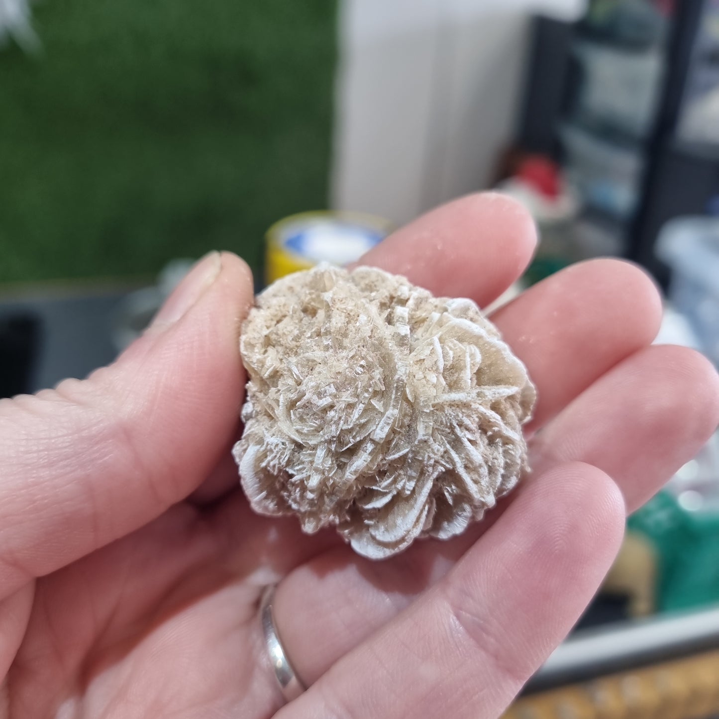 Desert Rose Medium Size