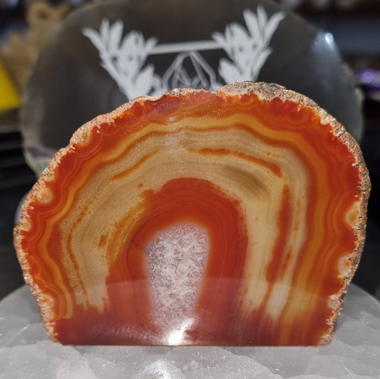 Agate Dyed Red Freeform #2