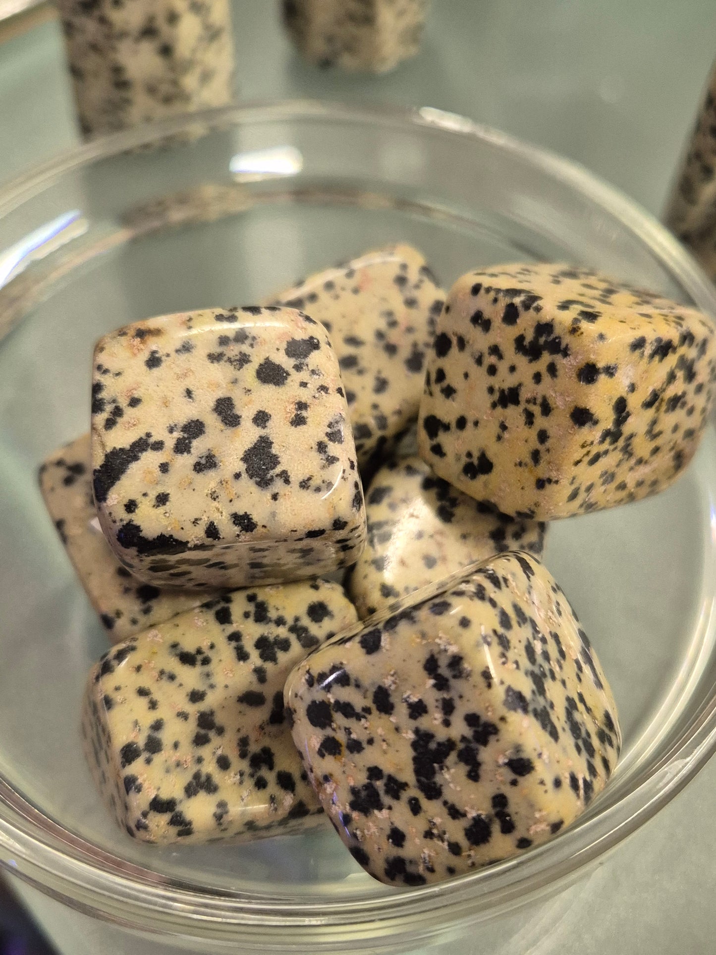 Dalmation Jasper Cubes