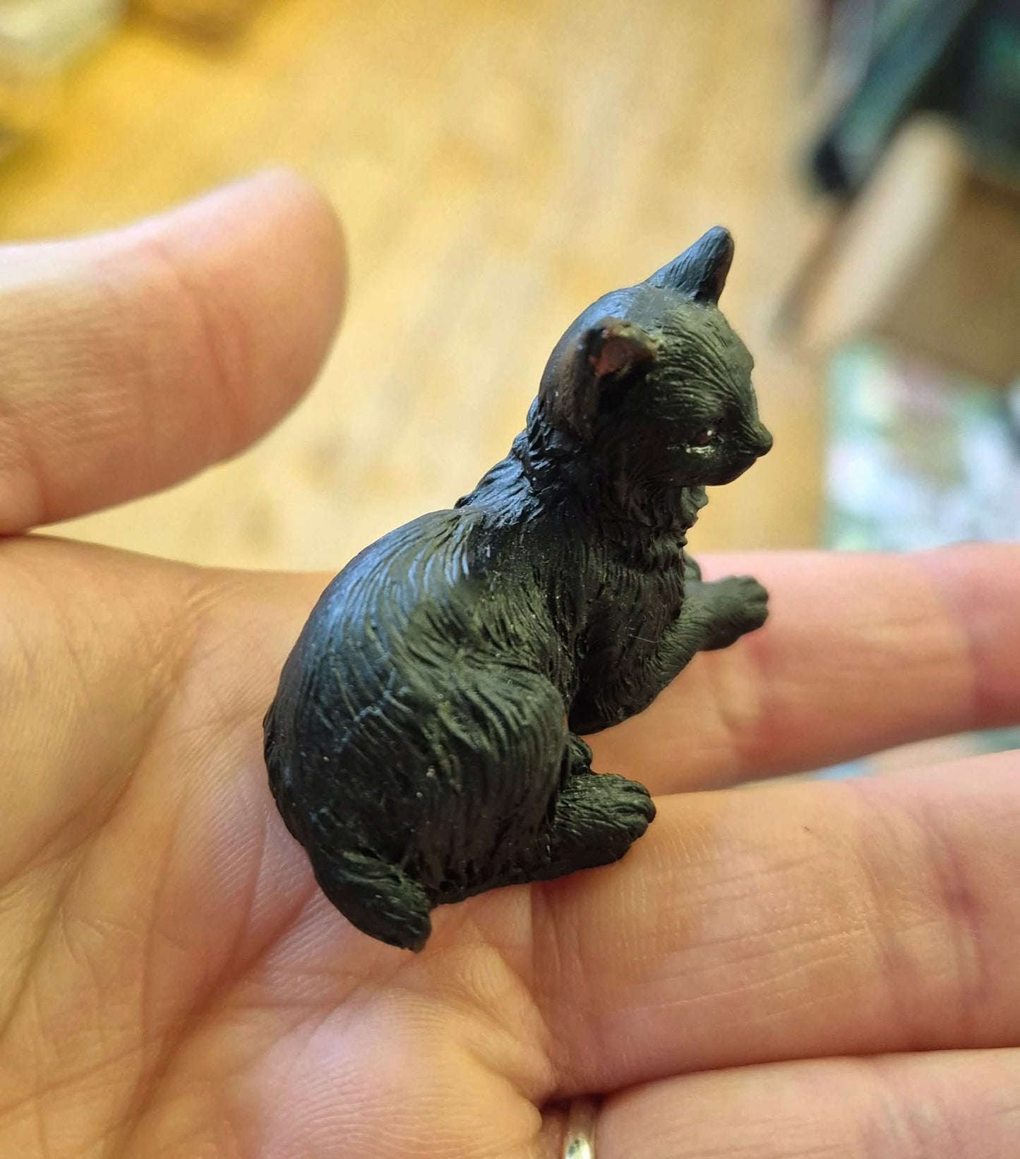 "Lucky black cat" and gift bag