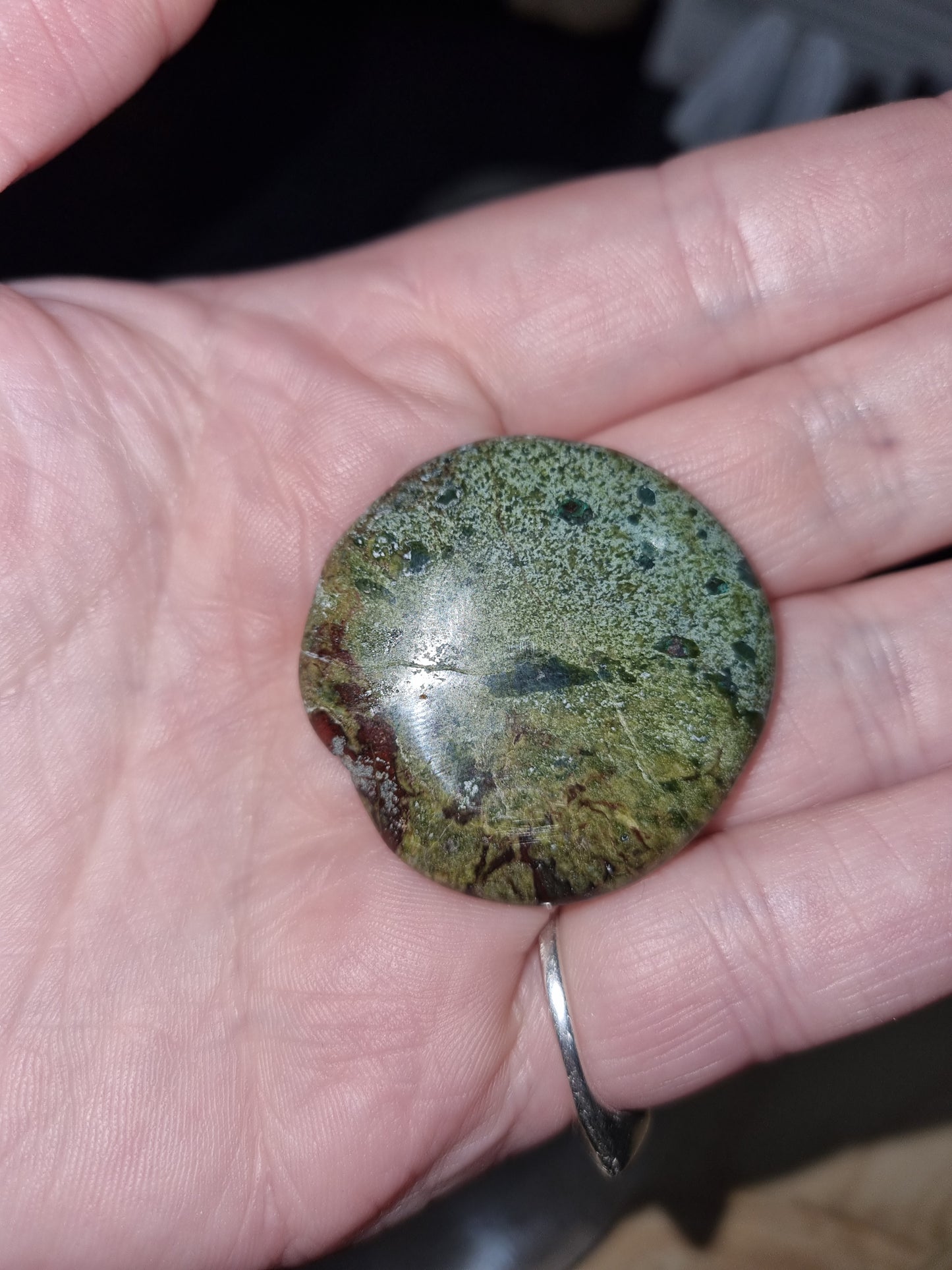 Dragon's Blood Jasper Flat Palmstone #1