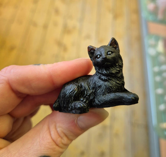 "Lucky black cat" and gift bag