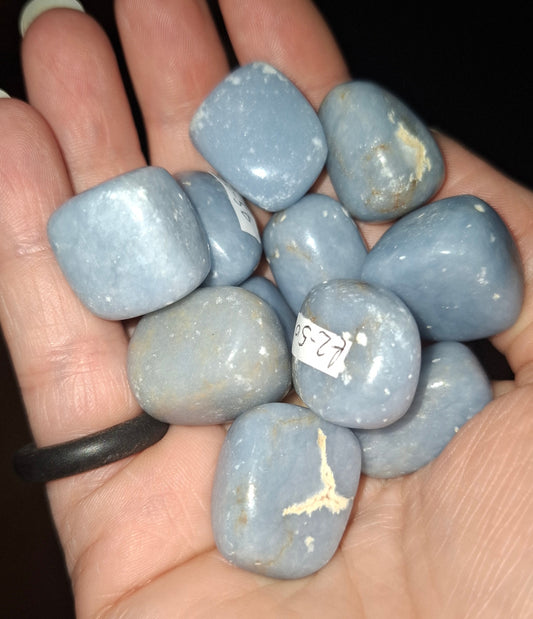 Angelite Tumbles - Mid Size