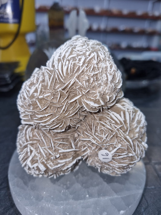 Desert Rose Large Raw Chunk