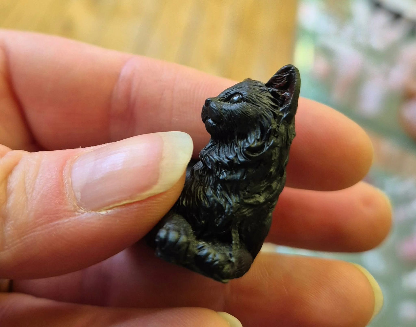 "Lucky black cat" and gift bag