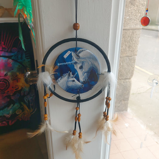 Lisa Parker DreamCatcher