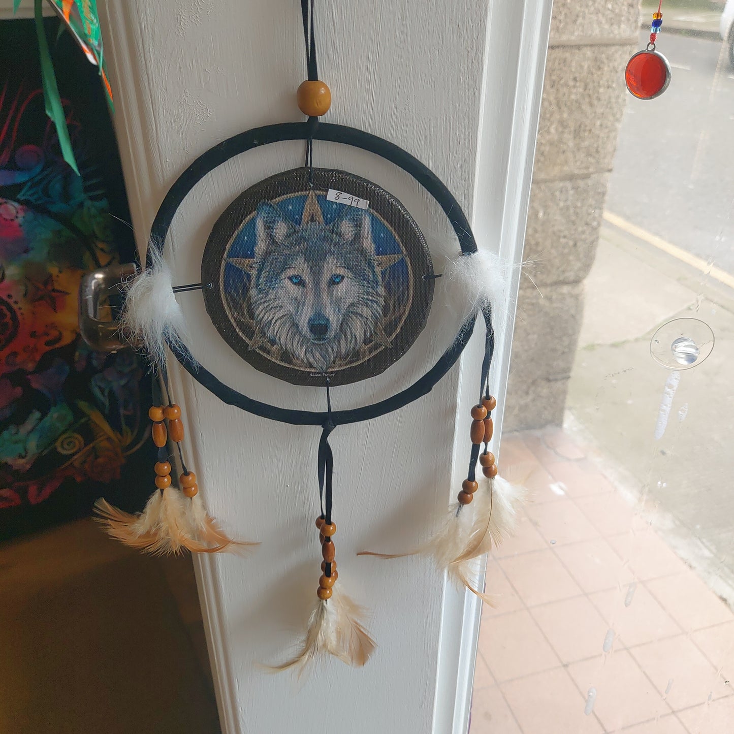 Lisa Parker DreamCatcher