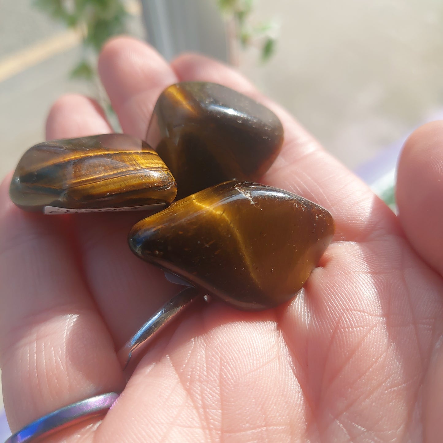 Tigers Eye Tumble