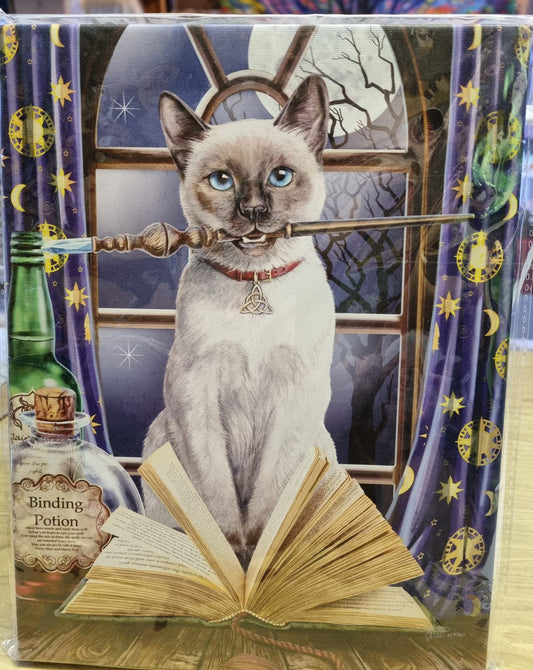 Lisa Parker 'Hocus Pocus' Canvas Picture