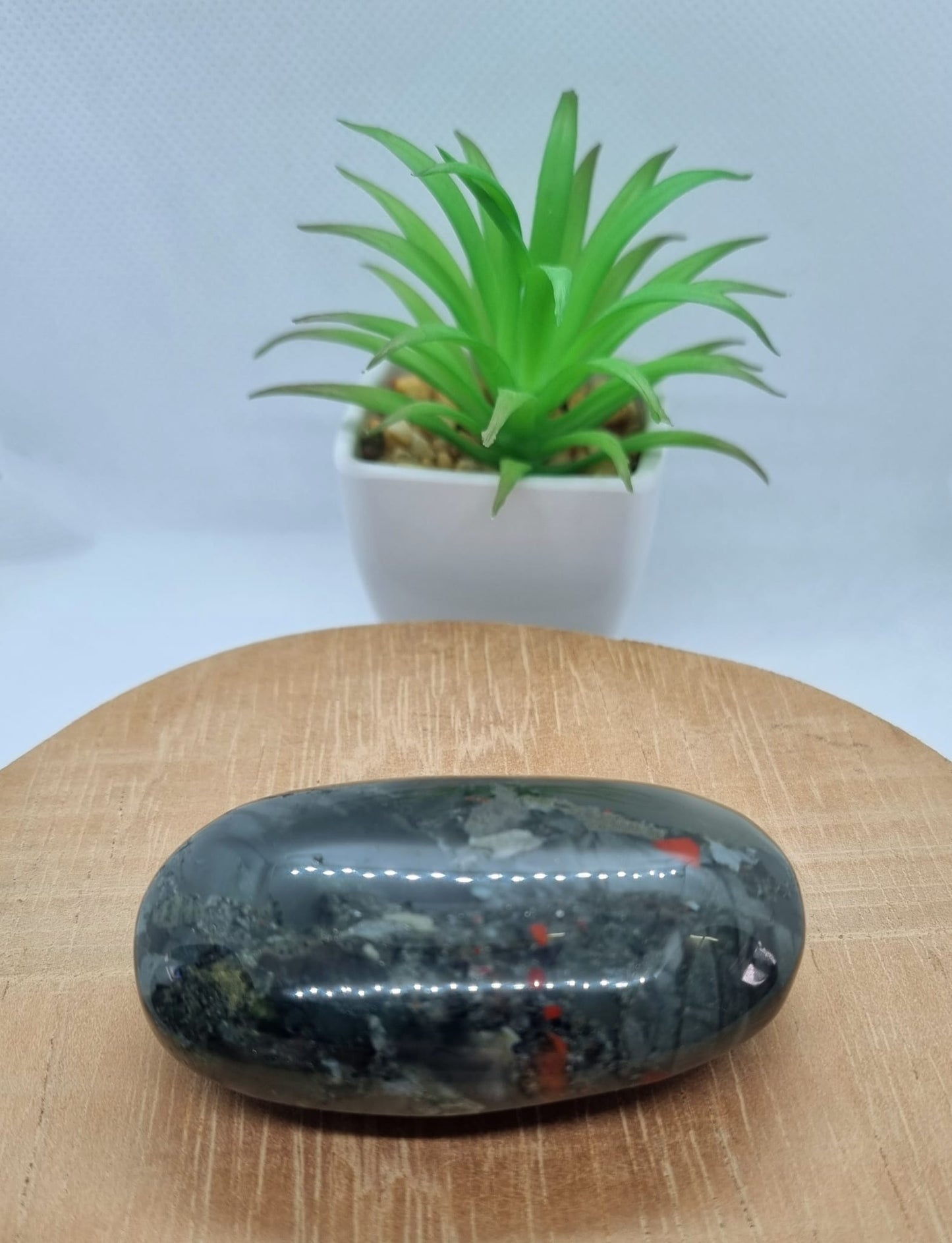 African Bloodstone Palm Stone