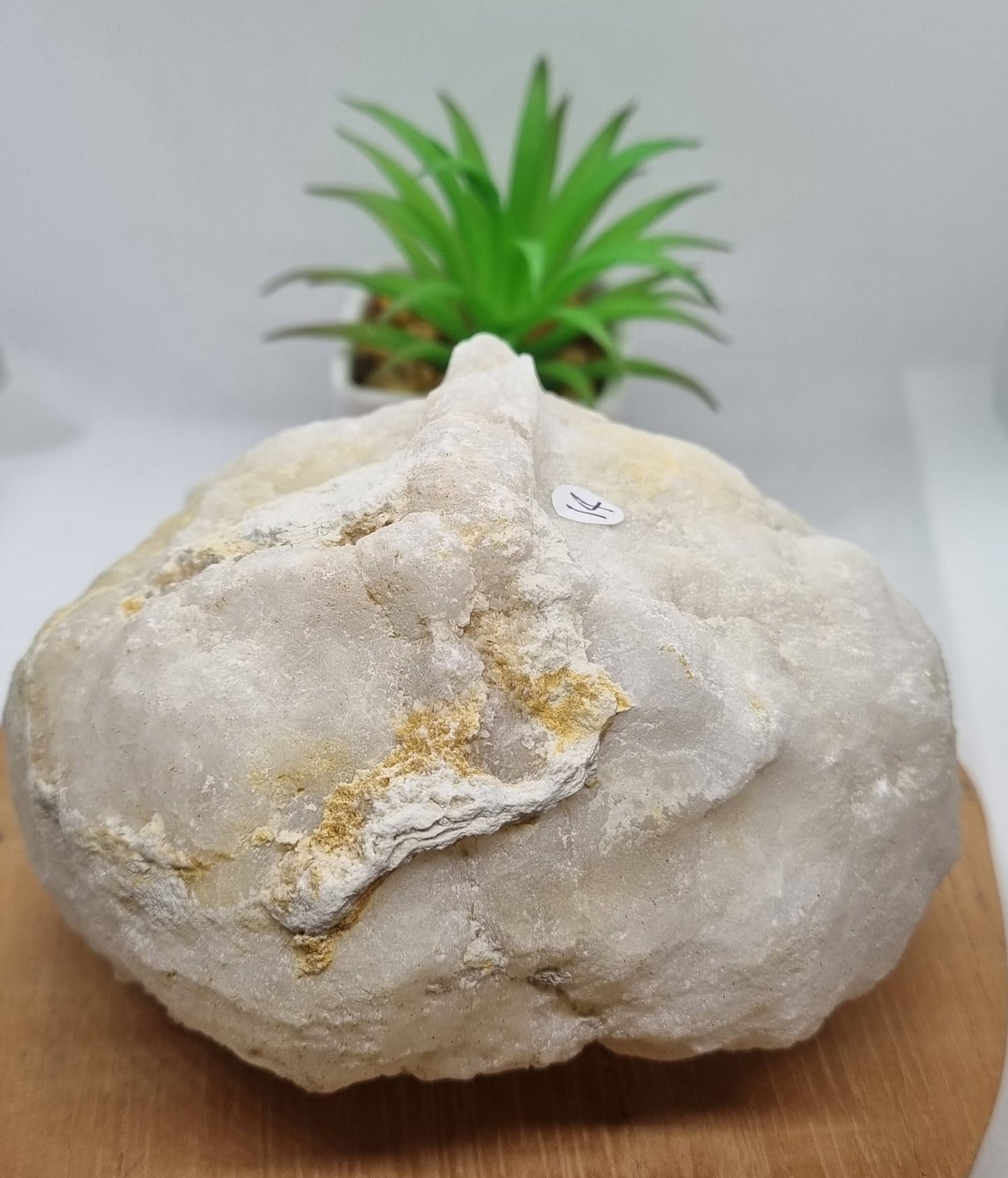 Unbroken Geode