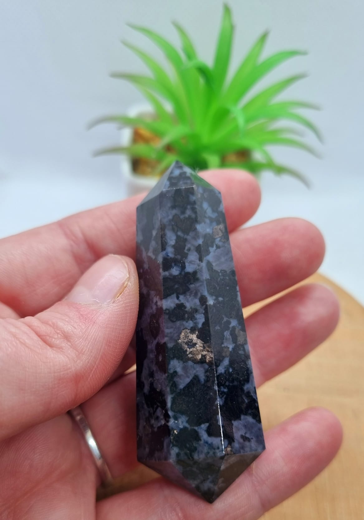 Indigo Gabbro DT