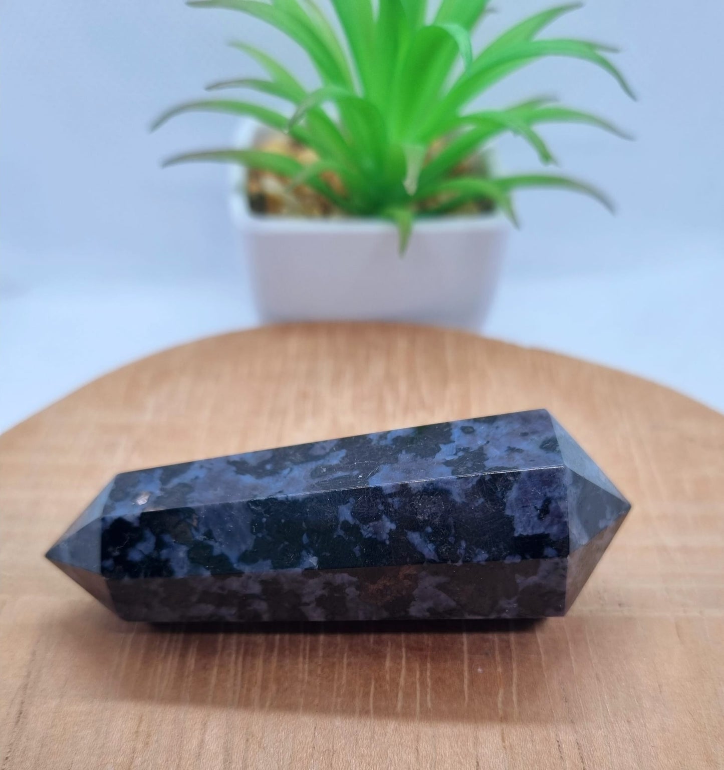 Indigo Gabbro DT