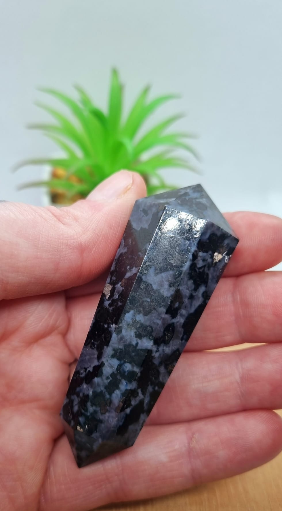 Indigo Gabbro DT
