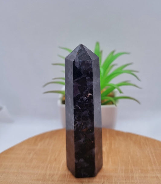 Indigo Gabbro Point