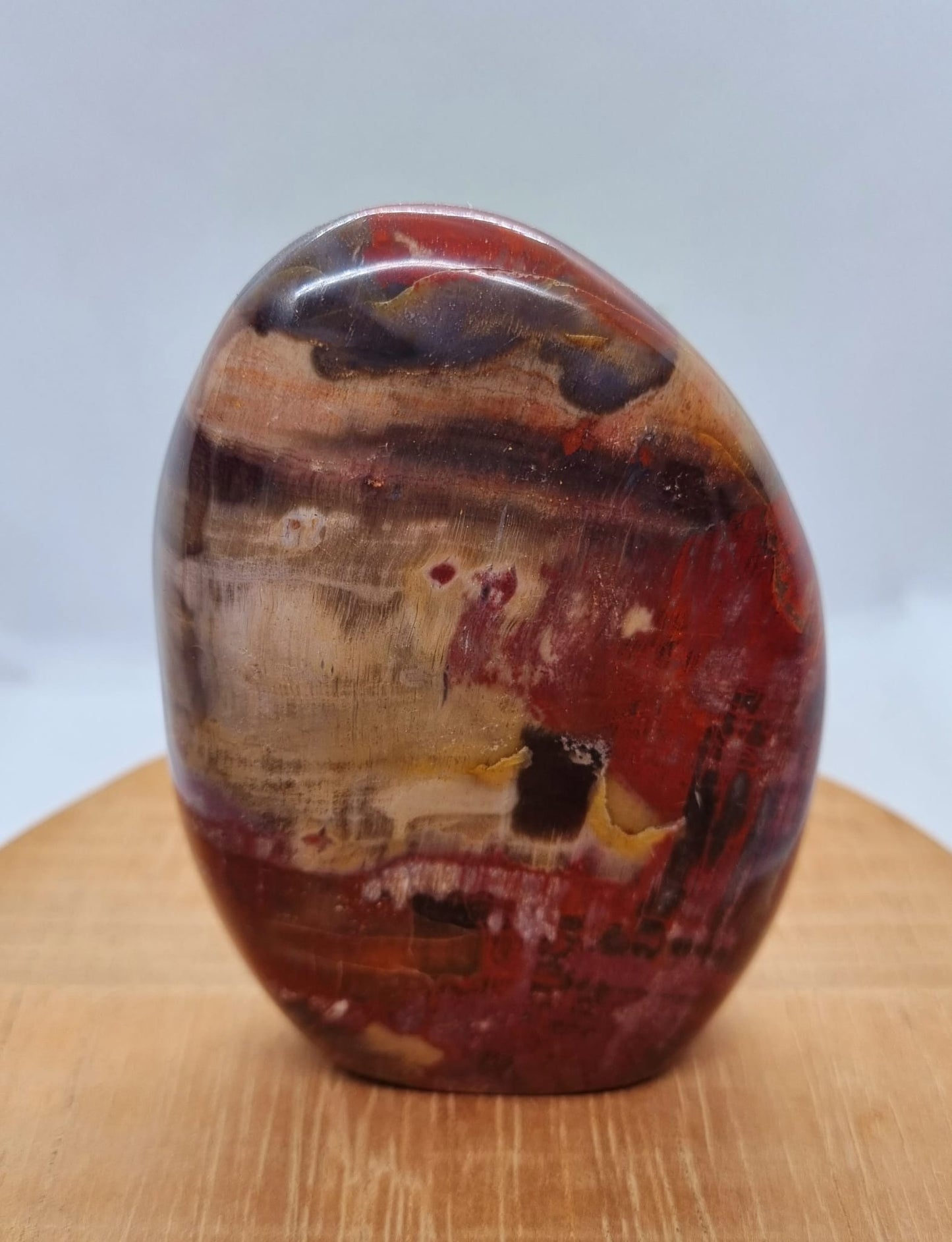 Petrified Wood Freeform