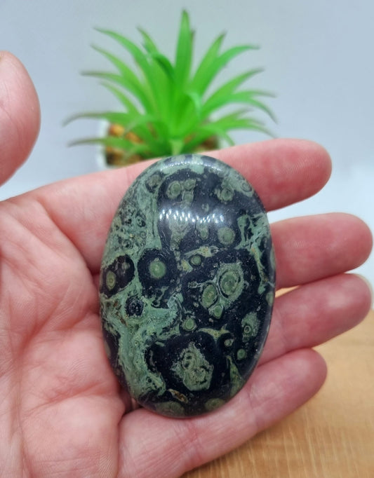 Kambaba Jasper Palmstone