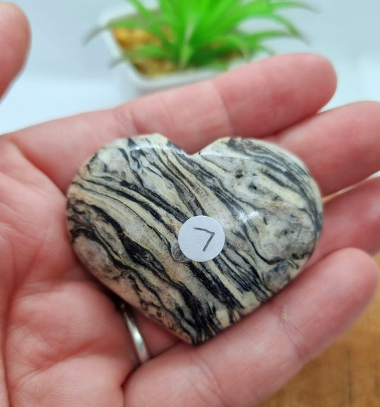 Zebra Jasper Hearts