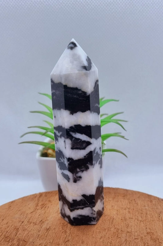 Zebra Jasper Point