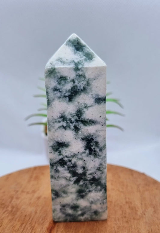 Tree Agate Obelisk