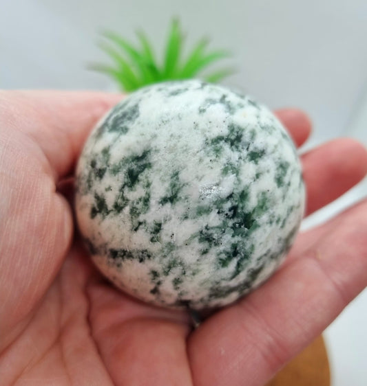 Tree Agate Sphere