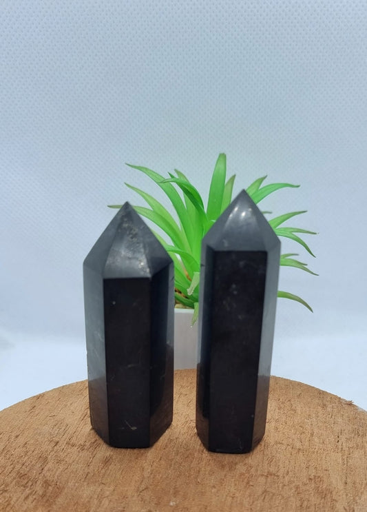 Shungite Point