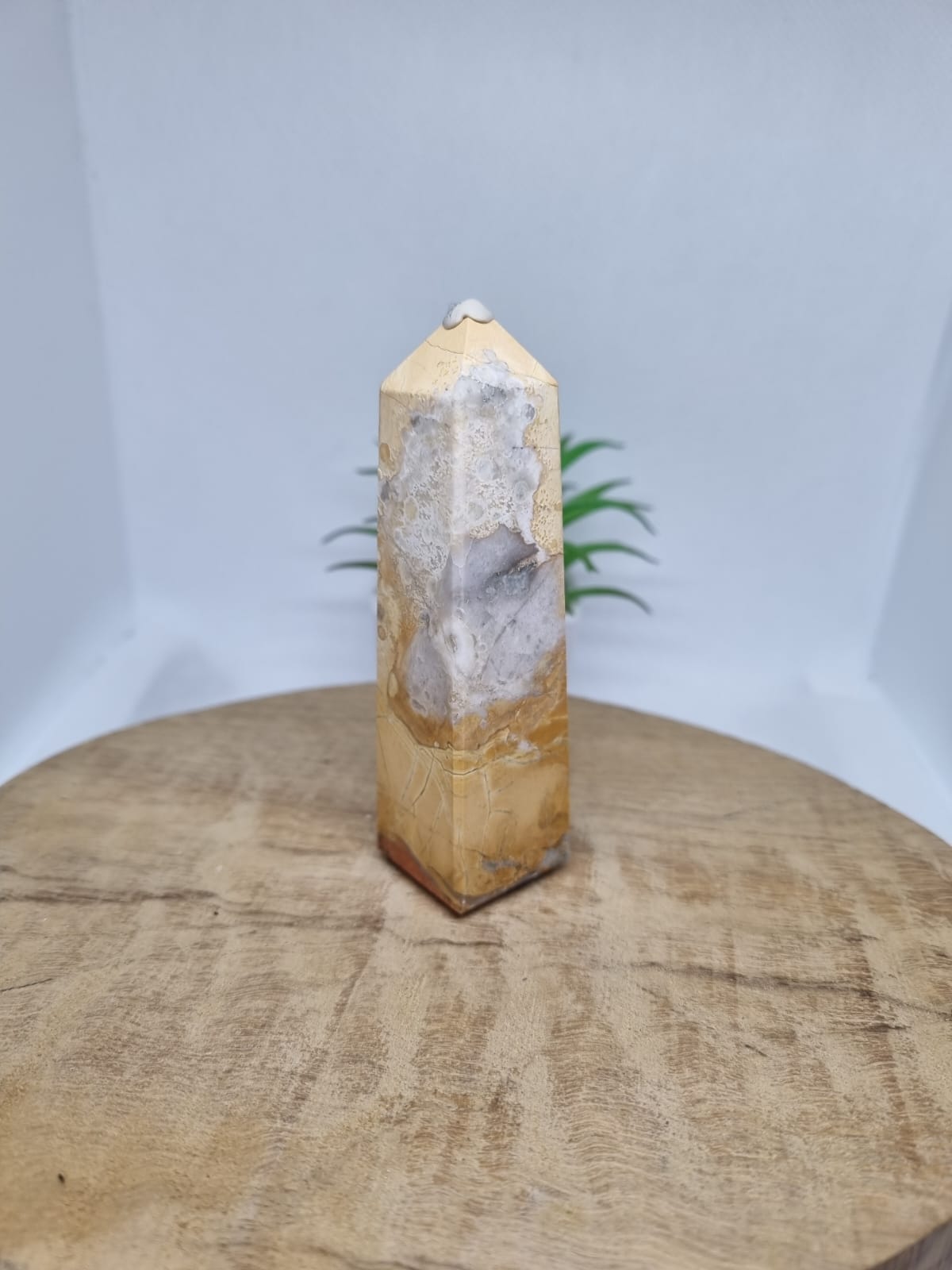 Maligano Jasper Point